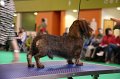 Crufts2010 316